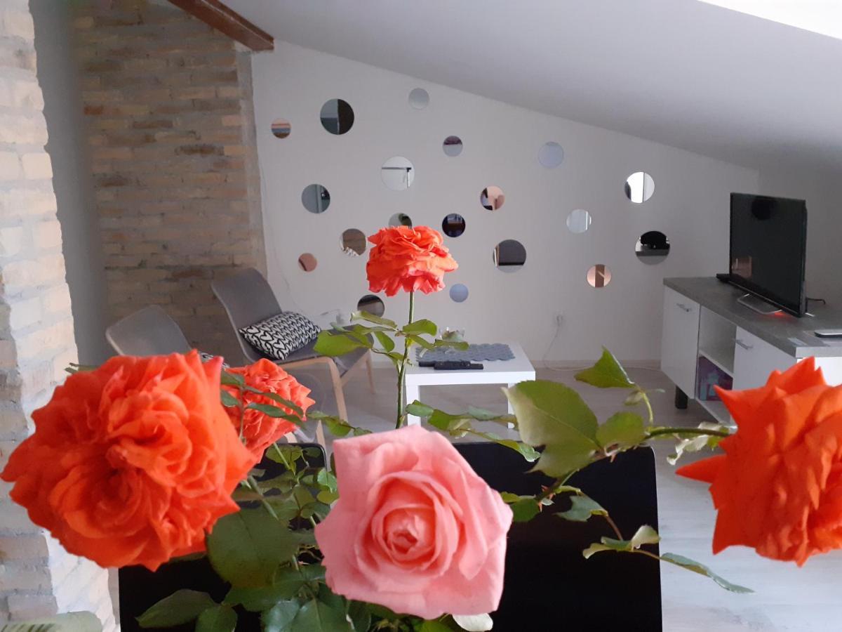 Flora Novi Sad Apartment Exterior photo